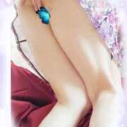 ヒメ日記 2025/07/12 00:26 投稿 石田美希 五十路マダム 松山店（カサブランカグループ）