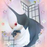 ヒメ日記 2025/07/31 19:56 投稿 石田美希 五十路マダム 松山店（カサブランカグループ）