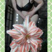 ヒメ日記 2025/08/13 23:20 投稿 石田美希 五十路マダム 松山店（カサブランカグループ）