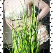 ヒメ日記 2025/08/17 01:26 投稿 石田美希 五十路マダム 松山店（カサブランカグループ）