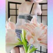 ヒメ日記 2025/08/26 16:10 投稿 石田美希 五十路マダム 松山店（カサブランカグループ）