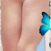 ヒメ日記 2025/10/15 01:36 投稿 石田美希 五十路マダム 松山店（カサブランカグループ）