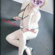 ヒメ日記 2025/12/02 00:50 投稿 石田美希 五十路マダム 松山店（カサブランカグループ）