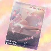 ヒメ日記 2025/12/02 14:02 投稿 石田美希 五十路マダム 松山店（カサブランカグループ）