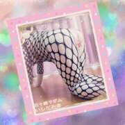 ヒメ日記 2025/12/11 01:10 投稿 石田美希 五十路マダム 松山店（カサブランカグループ）