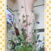 ヒメ日記 2025/12/11 23:12 投稿 石田美希 五十路マダム 松山店（カサブランカグループ）