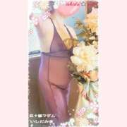 ヒメ日記 2025/12/19 17:26 投稿 石田美希 五十路マダム 松山店（カサブランカグループ）