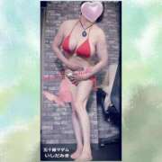 ヒメ日記 2025/12/26 01:22 投稿 石田美希 五十路マダム 松山店（カサブランカグループ）