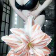 ヒメ日記 2025/12/27 21:48 投稿 石田美希 五十路マダム 松山店（カサブランカグループ）