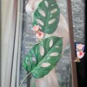 ヒメ日記 2026/01/09 14:44 投稿 石田美希 五十路マダム 松山店（カサブランカグループ）