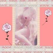 ヒメ日記 2026/01/09 23:04 投稿 石田美希 五十路マダム 松山店（カサブランカグループ）