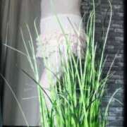 ヒメ日記 2026/01/25 23:42 投稿 石田美希 五十路マダム 松山店（カサブランカグループ）