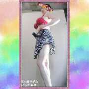 ヒメ日記 2026/01/26 17:14 投稿 石田美希 五十路マダム 松山店（カサブランカグループ）