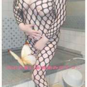 ヒメ日記 2026/02/01 23:32 投稿 石田美希 五十路マダム 松山店（カサブランカグループ）