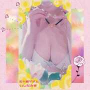 ヒメ日記 2026/02/03 12:20 投稿 石田美希 五十路マダム 松山店（カサブランカグループ）