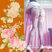 ヒメ日記 2026/02/04 01:18 投稿 石田美希 五十路マダム 松山店（カサブランカグループ）