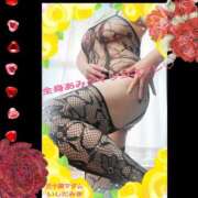 ヒメ日記 2026/02/04 15:42 投稿 石田美希 五十路マダム 松山店（カサブランカグループ）