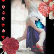 ヒメ日記 2026/02/05 13:00 投稿 石田美希 五十路マダム 松山店（カサブランカグループ）