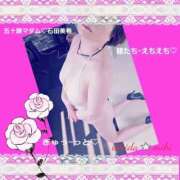 ヒメ日記 2026/02/06 19:58 投稿 石田美希 五十路マダム 松山店（カサブランカグループ）