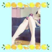 ヒメ日記 2026/02/08 12:32 投稿 石田美希 五十路マダム 松山店（カサブランカグループ）