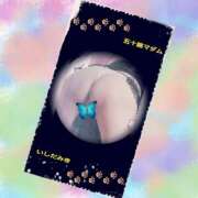 ヒメ日記 2026/02/08 13:32 投稿 石田美希 五十路マダム 松山店（カサブランカグループ）