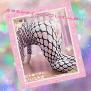 ヒメ日記 2026/02/11 01:44 投稿 石田美希 五十路マダム 松山店（カサブランカグループ）