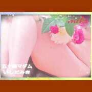 ヒメ日記 2026/02/12 15:24 投稿 石田美希 五十路マダム 松山店（カサブランカグループ）