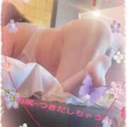 ヒメ日記 2026/02/14 00:04 投稿 石田美希 五十路マダム 松山店（カサブランカグループ）