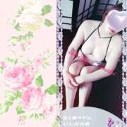 ヒメ日記 2026/02/17 13:38 投稿 石田美希 五十路マダム 松山店（カサブランカグループ）