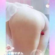 ヒメ日記 2026/02/17 16:24 投稿 石田美希 五十路マダム 松山店（カサブランカグループ）