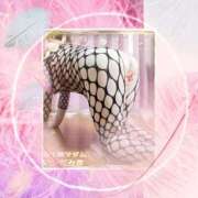 ヒメ日記 2026/02/17 19:32 投稿 石田美希 五十路マダム 松山店（カサブランカグループ）