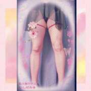 ヒメ日記 2026/02/19 14:40 投稿 石田美希 五十路マダム 松山店（カサブランカグループ）