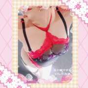 ヒメ日記 2026/02/19 15:18 投稿 石田美希 五十路マダム 松山店（カサブランカグループ）