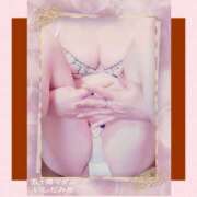 ヒメ日記 2026/02/19 23:44 投稿 石田美希 五十路マダム 松山店（カサブランカグループ）