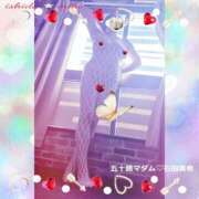 ヒメ日記 2026/02/20 14:50 投稿 石田美希 五十路マダム 松山店（カサブランカグループ）