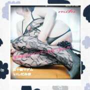 ヒメ日記 2026/02/20 17:20 投稿 石田美希 五十路マダム 松山店（カサブランカグループ）