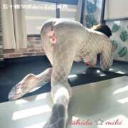 ヒメ日記 2026/02/20 17:50 投稿 石田美希 五十路マダム 松山店（カサブランカグループ）