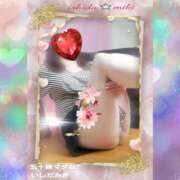 ヒメ日記 2026/02/24 16:48 投稿 石田美希 五十路マダム 松山店（カサブランカグループ）