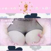 ヒメ日記 2026/02/27 23:38 投稿 石田美希 五十路マダム 松山店（カサブランカグループ）