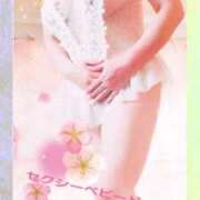 ヒメ日記 2026/04/16 14:48 投稿 石田美希 五十路マダム 松山店（カサブランカグループ）