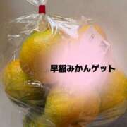 ヒメ日記 2025/10/05 16:12 投稿 落合千鶴 五十路マダム 松山店（カサブランカグループ）