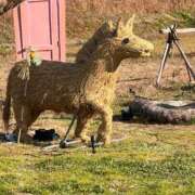 ヒメ日記 2025/12/31 22:31 投稿 たいけんふわり 人妻愛姫◆Kiaro24時!!