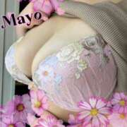 ヒメ日記 2025/04/25 14:47 投稿 まよ 巨乳痴女専門店 萌えの隣人 新宿店