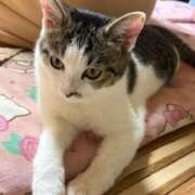 ヒメ日記 2026/02/23 15:37 投稿 きょうか 甲府人妻隊