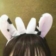 ヒメ日記 2025/12/26 03:47 投稿 ゆな　体験入店 愛ロマンス