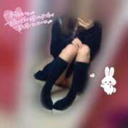 ヒメ日記 2025/02/03 03:30 投稿 夏目　ゆきの しゃせきょっ!XX教育される制服女子たち