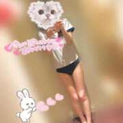 ヒメ日記 2025/04/04 04:00 投稿 夏目　ゆきの しゃせきょっ!XX教育される制服女子たち