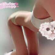 ヒメ日記 2026/01/08 03:39 投稿 夏目　ゆきの しゃせきょっ!XX教育される制服女子たち