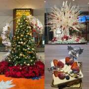 ヒメ日記 2025/12/24 21:48 投稿 なな 熟女総本店