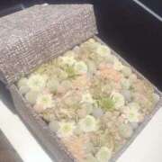 ヒメ日記 2025/09/25 14:38 投稿 すず 花夫人